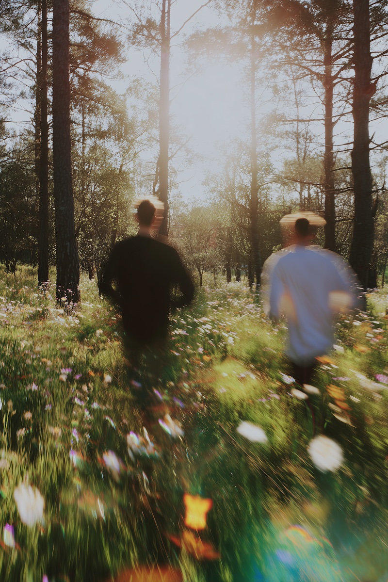 Ein Weg durch einen sonnigen Wald